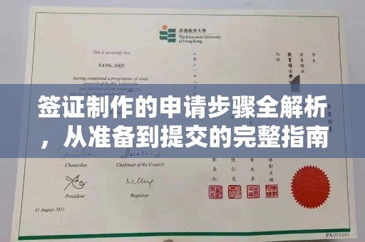 岷县签证制作的申请步骤全解析，从准备到提交的完整指南
